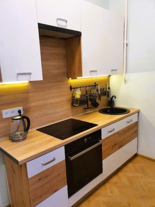 Dzīvoklis Modern Flat By Lukiskiu Square Vilnius