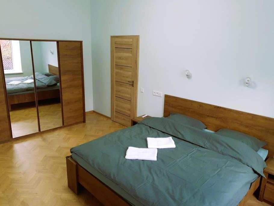 Modern Flat By Lukiskiu Square Vilnius